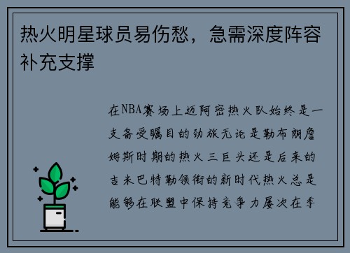 热火明星球员易伤愁，急需深度阵容补充支撑